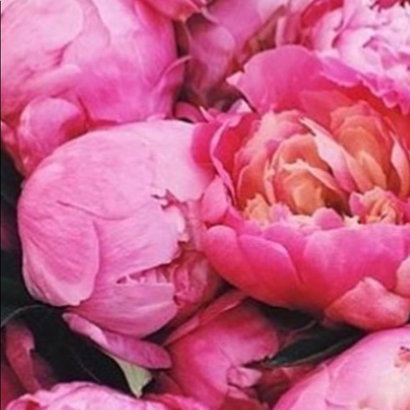 Meet your Posher, Alex - Picture 1 of 1